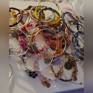 ALEX and ANI BULK